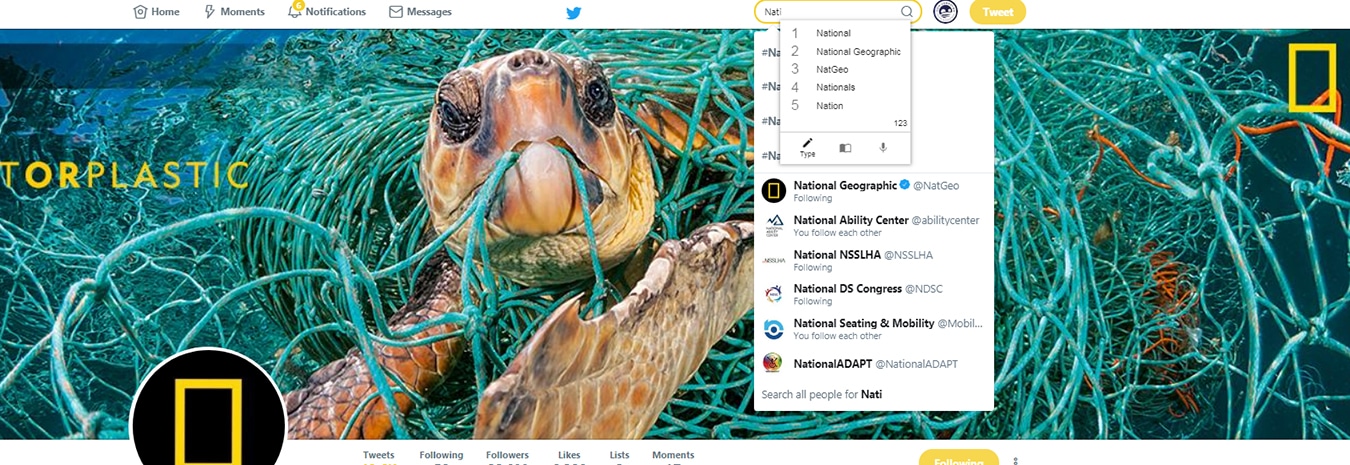 Screen shot of a turtle on National Geographic's twitter page with Co:Writer active