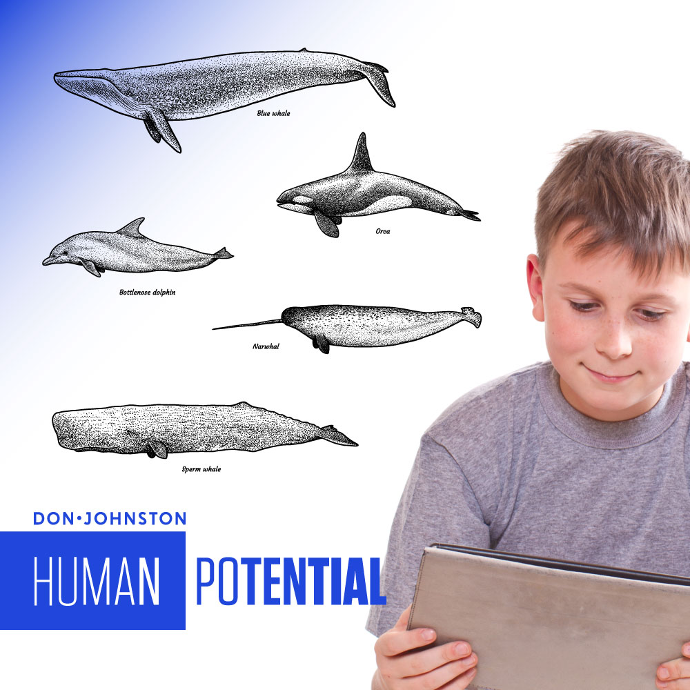 Boy reading a book with images of whales in the background