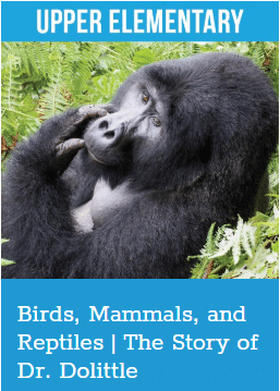Cover of Birds, Mammals, and Reptiles unit for readtopia, a large gorilla lounging